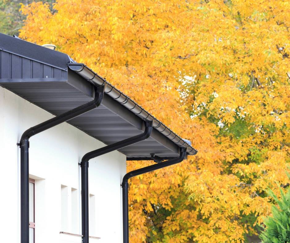 499156357 2641124489413790 6009180752161082894 N