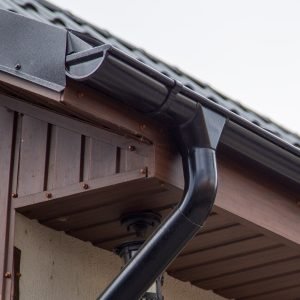 474796985_1167909458040212_6255952376451448994_n