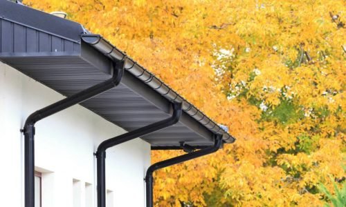 499156357_2641124489413790_6009180752161082894_n