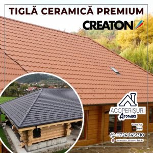 516957214_122179394252335265_1627860810603865929_n